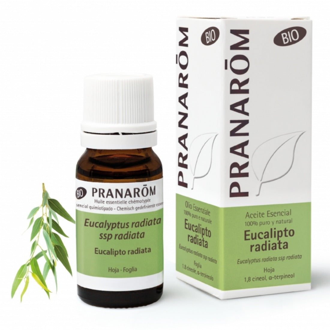 PRANAROM Aceite Esencial Eucalipto radiata 10mL