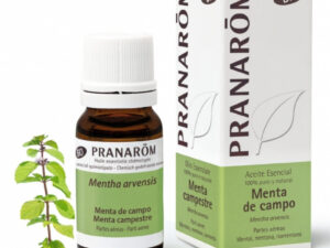 PRANAROM Aceite Esencial Menta de campo 10mL