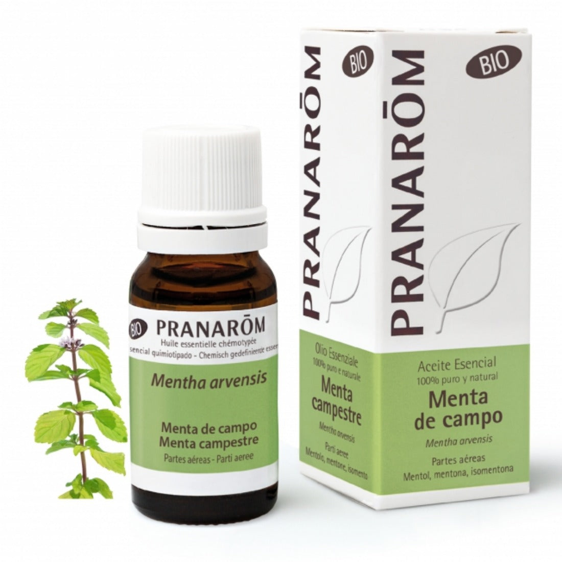 PRANAROM Aceite Esencial Menta de campo 10mL