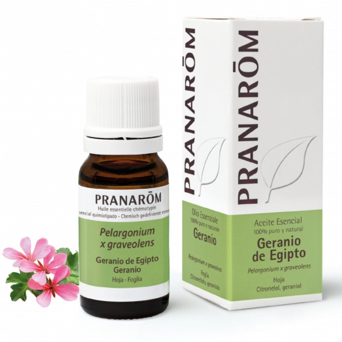 PRANAROM Aceite Esencial Geranio de Egipto 10mL